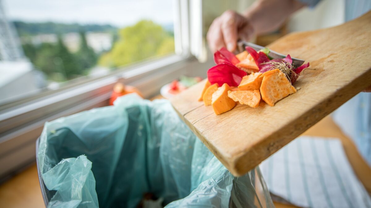 La Lucha Contra El Desperdicio De Alimentos Proyecto De Ley